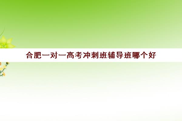 合肥一对一高考冲刺班辅导班哪个好(合肥高考冲刺全托学校)