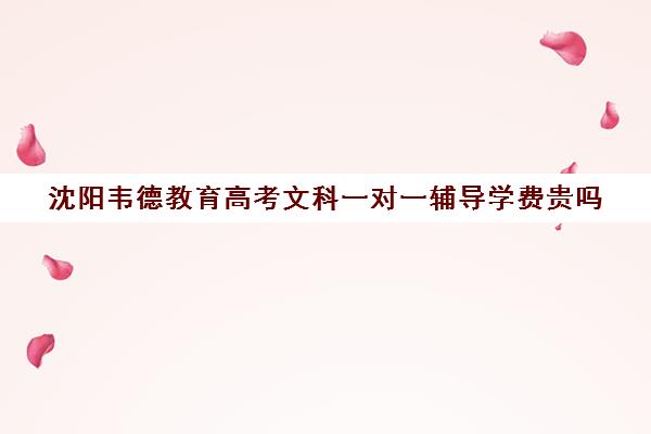 沈阳韦德教育高考文科一对一辅导学费贵吗(高三英语一对一补课有用吗)