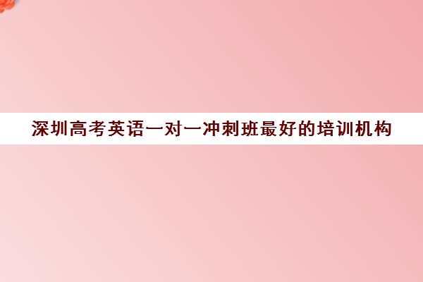 深圳高考英语一对一冲刺班最好的培训机构(高考培训班哪家好)