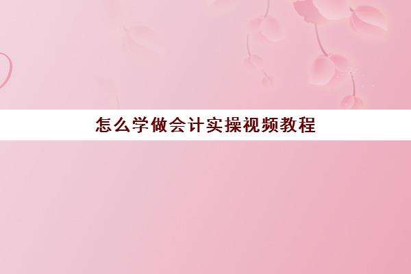 怎么学做会计实操视频教程(会计教学视频)