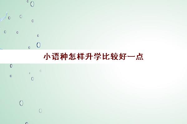 小语种怎样升学比较好一点(哪个小语种好学)