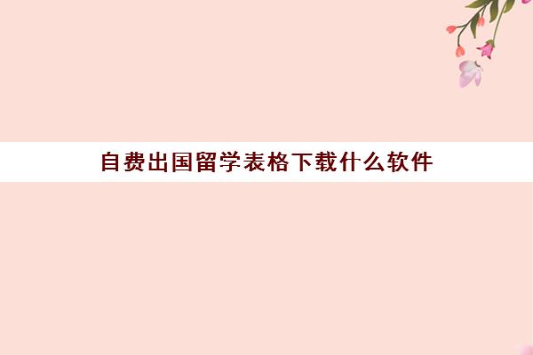 自费出国留学表格下载什么软件(没钱如何出国留学)