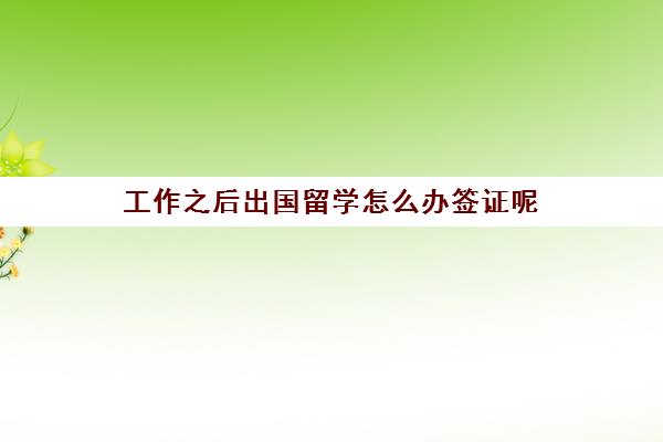 工作之后出国留学怎么办签证呢(留学签证多久能办下来)