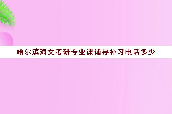 哈尔滨海文考研专业课辅导补习电话多少