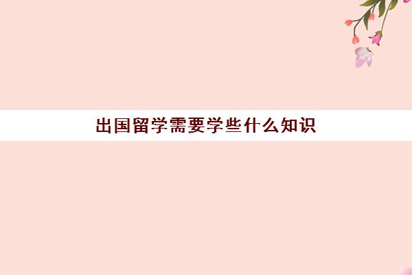 出国留学需要学些什么知识(出国留学能学到什么)