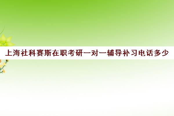 上海社科赛斯在职考研一对一辅导补习电话多少