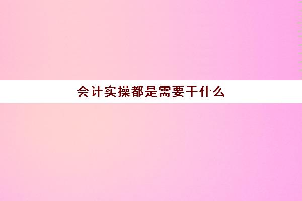 会计实操都是需要干什么(会计新人一般先干什么)