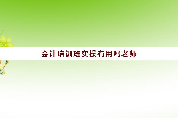 会计培训班实操有用吗老师(参加会计培训班有用吗)