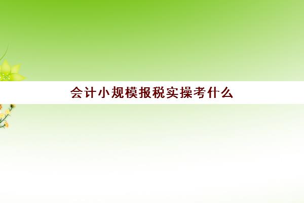 会计小规模报税实操考什么(小规模是自己报税还是找会计)