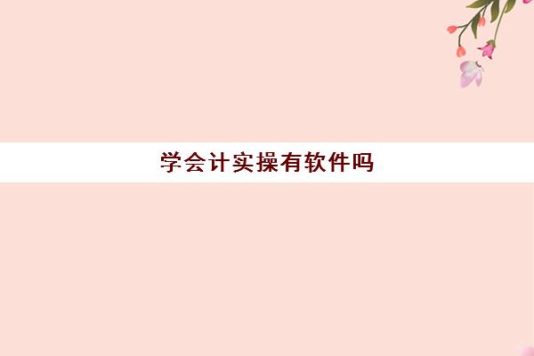 学会计实操有软件吗(学会计必备软件)