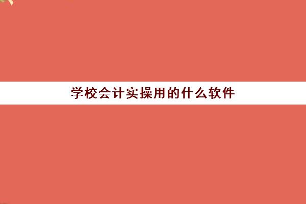 学校会计实操用的什么软件(会计专业需要什么软件)