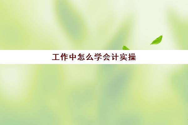 工作中怎么学会计实操(会计怎么学快速入门)