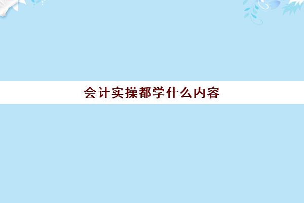 会计实操都学什么内容(会计初学者的基本知识)