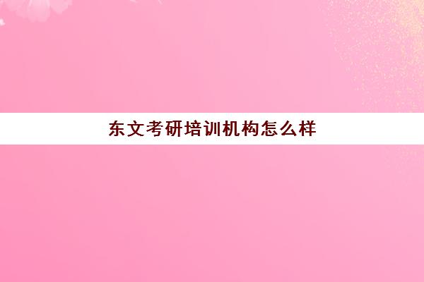 东文考研培训机构怎么样(比较好的考研培训机构)