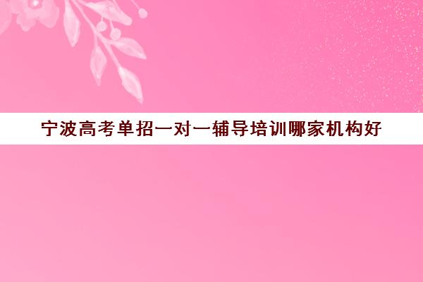 宁波高考单招一对一辅导培训哪家机构好(宁波单招单考培训学校)