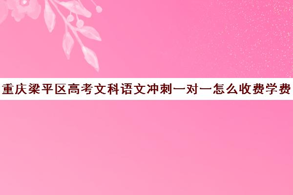 重庆梁平区高考文科语文冲刺一对一怎么收费学费多少钱(一对一辅导收费)