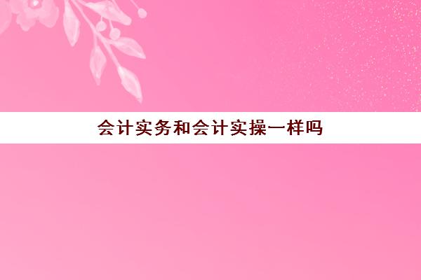 会计实务和会计实操一样吗(基础会计和会计实务一样吗)