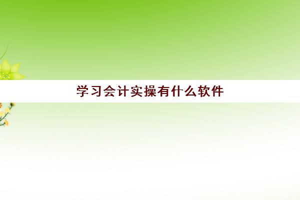 学习会计实操有什么软件