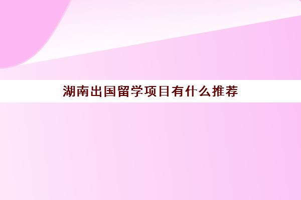 湖南出国留学项目有什么推荐(最容易出国留学的大学)