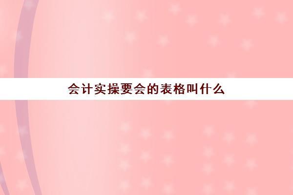 会计实操要会的表格叫什么(财务要会的各种表格)