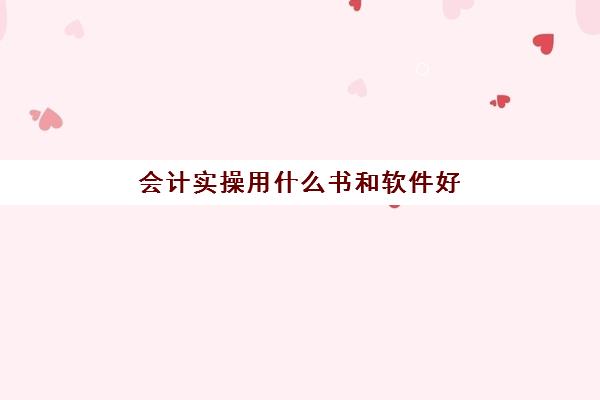 会计实操用什么书和软件好(会计入门自学书籍)