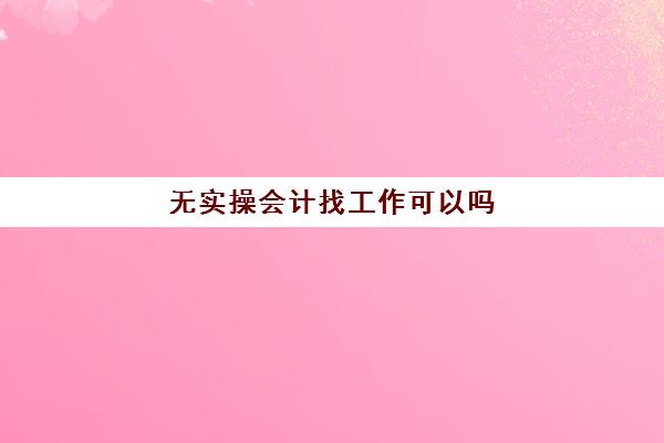 无实操会计找工作可以吗(不懂会计可以做会计吗)