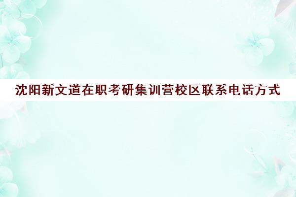 沈阳新文道在职考研集训营校区联系电话方式（济南新文道考研）