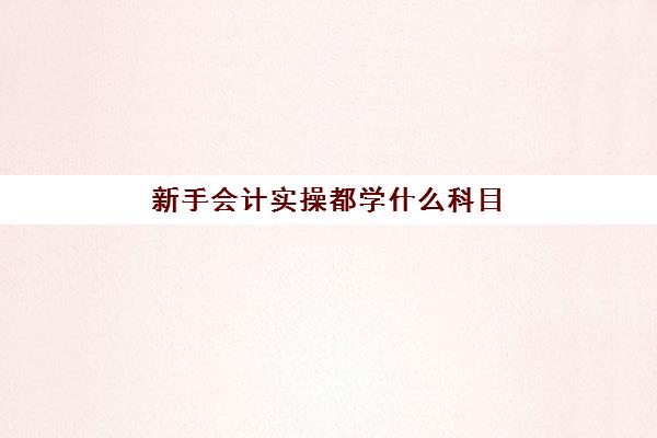 新手会计实操都学什么科目(会计初级学什么哪些内容)