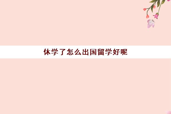 休学了怎么出国留学好呢(大学中途休学出国留学)