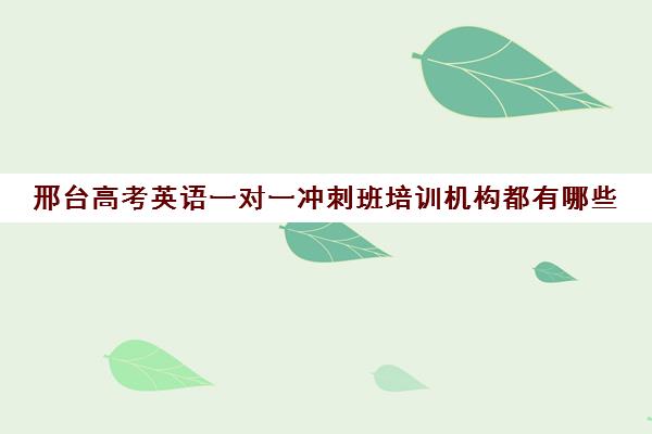 邢台高考英语一对一冲刺班培训机构都有哪些(高考线上辅导机构有哪些比较好)