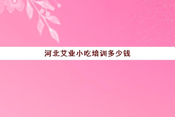 河北艾业小吃培训多少钱(小吃培训班靠谱不)