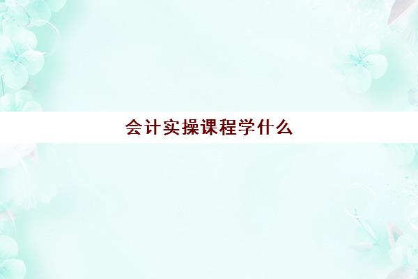 会计实操课程学什么(基础会计主要学什么)