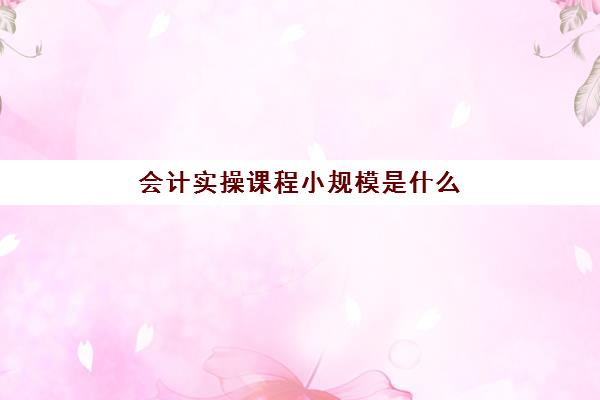 会计实操课程小规模是什么(小规模会计做账流程)