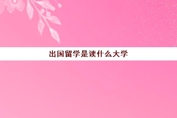 出国留学是读什么大学(国内怎么考国外大学)