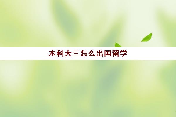 本科大三怎么出国留学(出国留学大三还是大四申请)