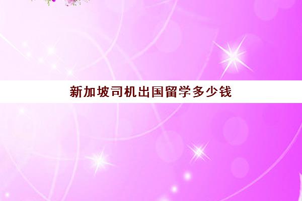 新加坡司机出国留学多少钱(去新加坡做司机要求)