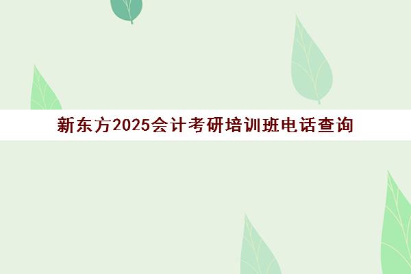 新东方2025会计考研培训班电话查询(会计专硕考研辅导班哪家好)