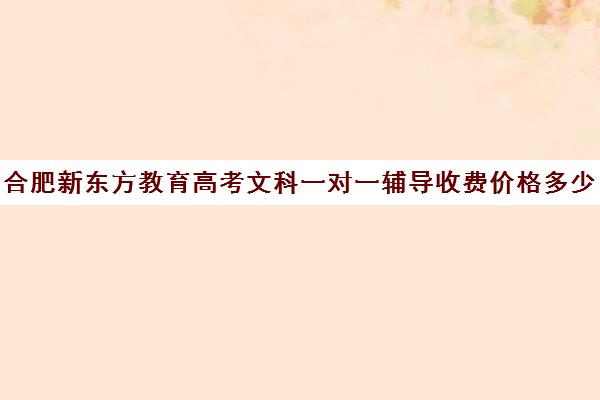 合肥新东方教育高考文科一对一辅导收费价格多少钱（合肥一对一辅导价格表）