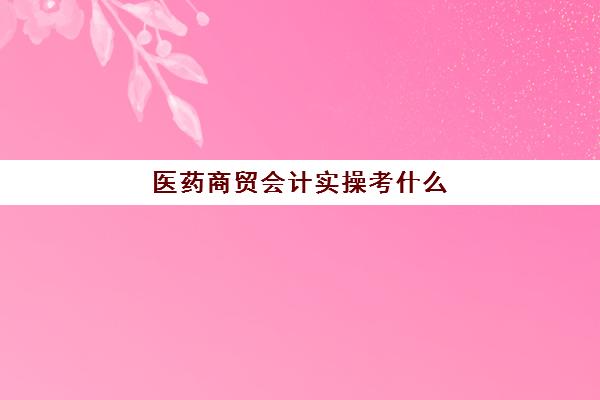 医药商贸会计实操考什么(会计专业基础知识)