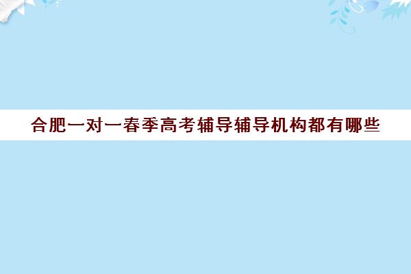 合肥一对一春季高考辅导辅导机构都有哪些(合肥家教一对一辅导)