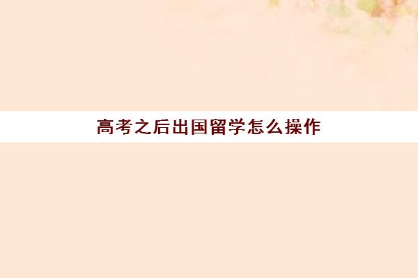 高考之后出国留学怎么操作(高考能直接考到国外吗)