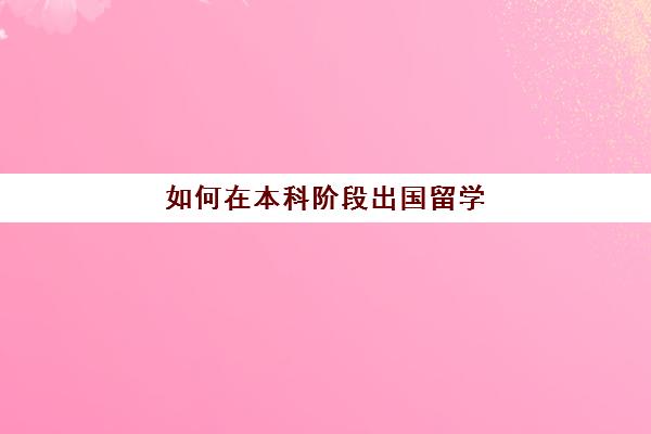 如何在本科阶段出国留学(本科生怎么去国外留学)