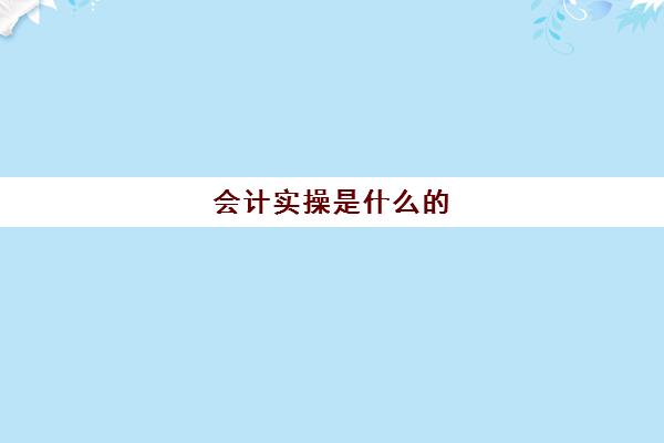 会计实操是什么(会计基本流程是什么)