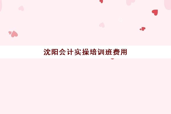 沈阳会计实操培训班费用(沈阳天算会计培训学校)