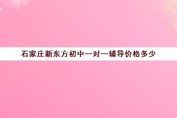 石家庄新东方初中一对一辅导价格多少（石家庄新东方教育机构官网）