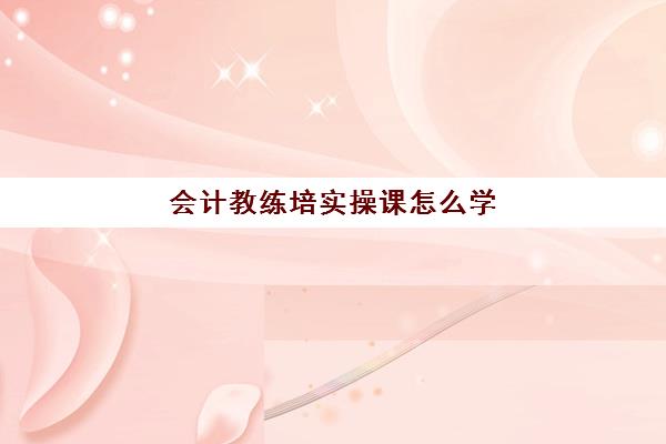 会计教练培实操课怎么学(会计学堂和会计教练哪个好)