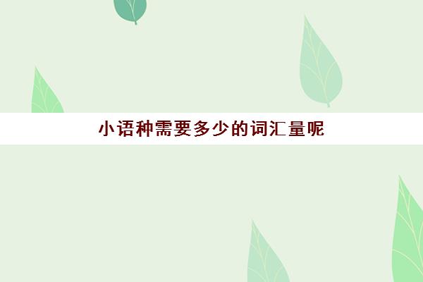 小语种需要多少的词汇量呢(为什么不建议学小语种)