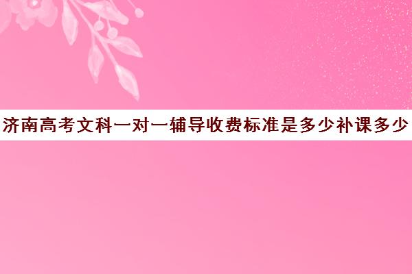 济南高考文科一对一辅导收费标准是多少补课多少钱一小时(小学一对一一般多少钱)