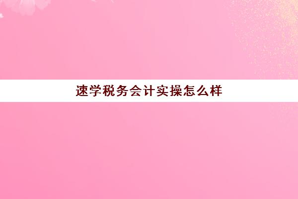 速学税务会计实操怎么样(学报税有必要报班吗)