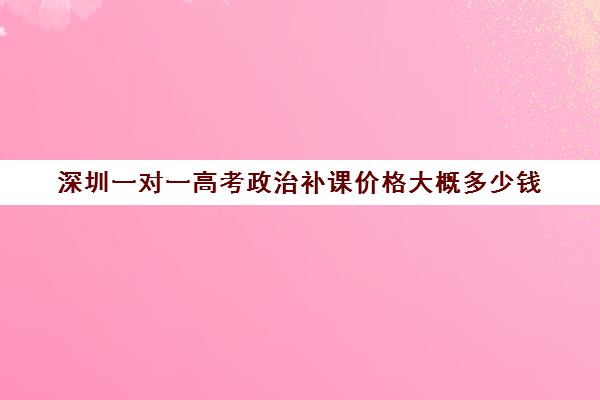 深圳一对一高考政治补课价格大概多少钱(高考线上辅导机构有哪些比较好)